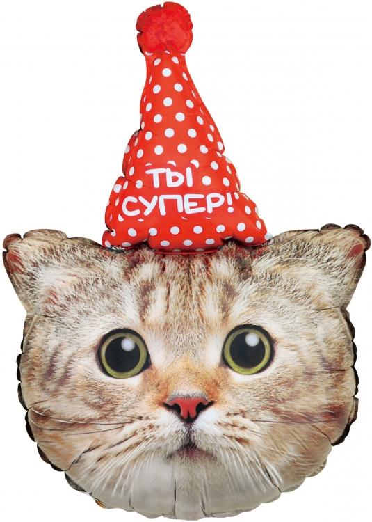 Шар Фигура, Котенок в колпачке ТЫ Супер (в упаковке)