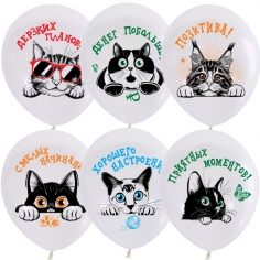 Шар Коты Пожелания, Дерзких планов